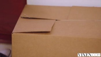 Wild chicks having enjoyment with hunks pecker